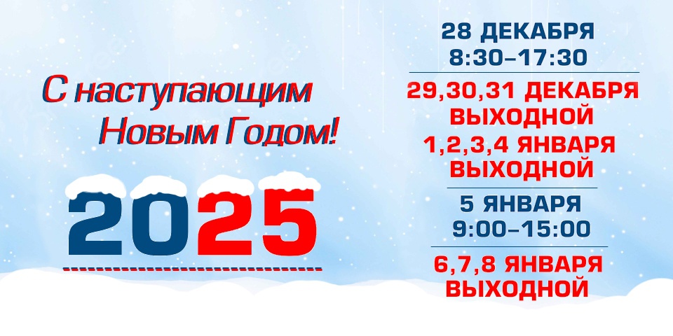 С новым 2025 годом!